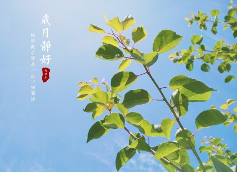 愿歲月靜好，山河無恙